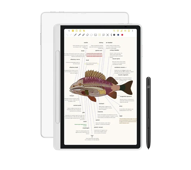 تبلت یادداشت هوشمند ایکس پی پن Magic Note Pad+کوله پشتی هدیه xp pen (گارانتی اصلی لیبل و هولوگرام)